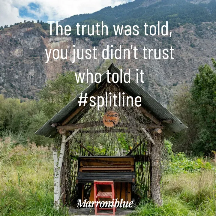 Quote by Marroni Blue - The truth was told,
you just didn't trust
who told it
#splitline

 - Made using Quotes Creator App, Post Maker App