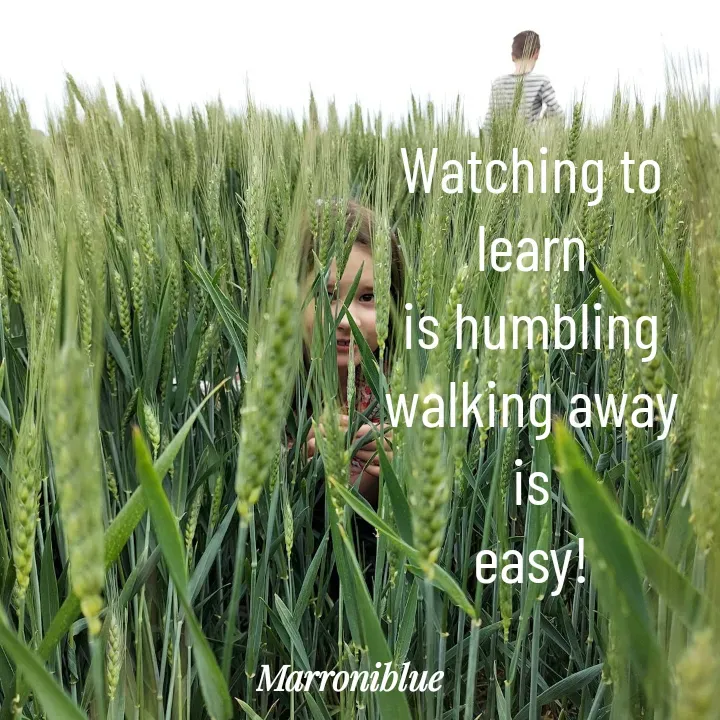 Quote by Marroni Blue - Watching to learn
is humbling
walking away is
easy! - Made using Quotes Creator App, Post Maker App