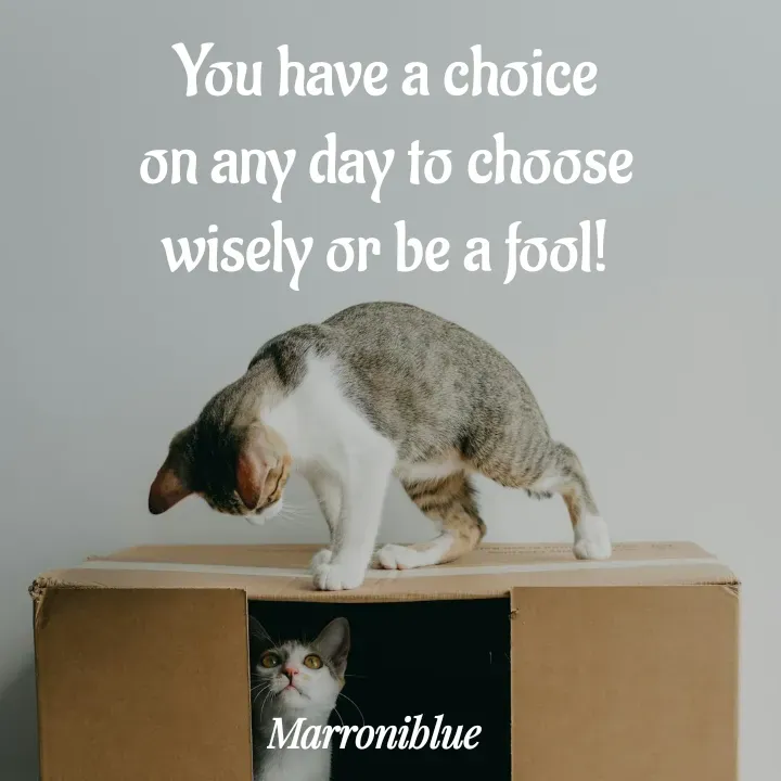 Quote by Marroni Blue - You have a choice
on any day to choose
wisely or be a fool! - Made using Quotes Creator App, Post Maker App