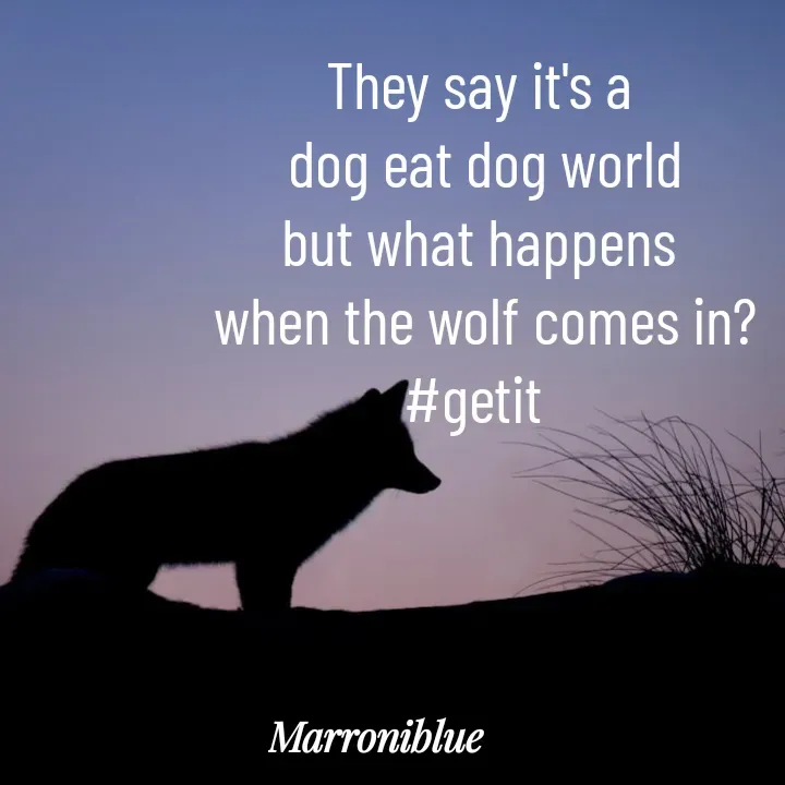 Quote by Marroni Blue -  - Made using Quotes Creator App, Post Maker App