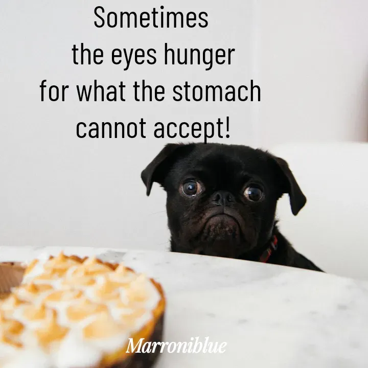 Quote by Marroni Blue - Sometimes 
the eyes hunger
for what the stomach 
cannot accept! - Made using Quotes Creator App, Post Maker App