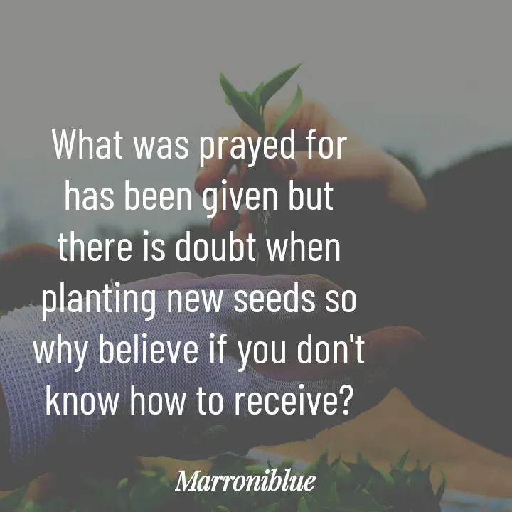 Quote by Marroni Blue -  - Made using Quotes Creator App, Post Maker App
