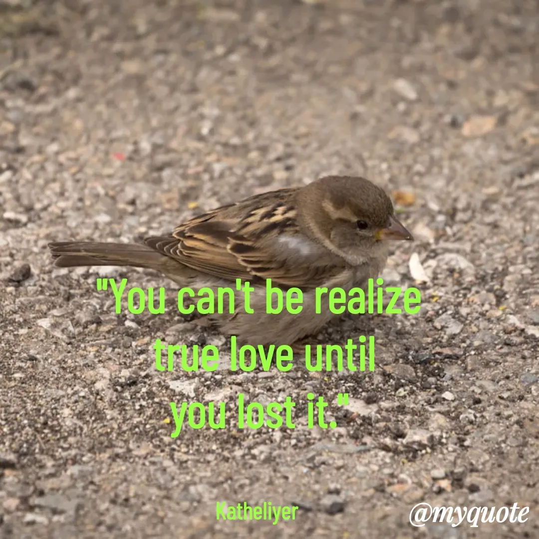 Quote by MANOHARAN ST - "You can't be realize
 true love until
you lost it."


Katheliyer  - Made using Quotes Creator App, Post Maker App