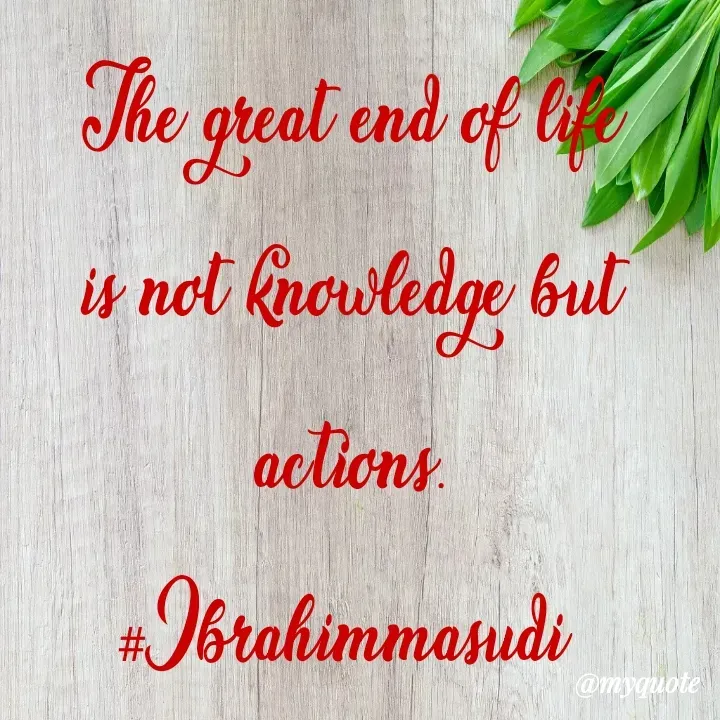 Quote by ibrahim masudi -  - Made using Quotes Creator App, Post Maker App