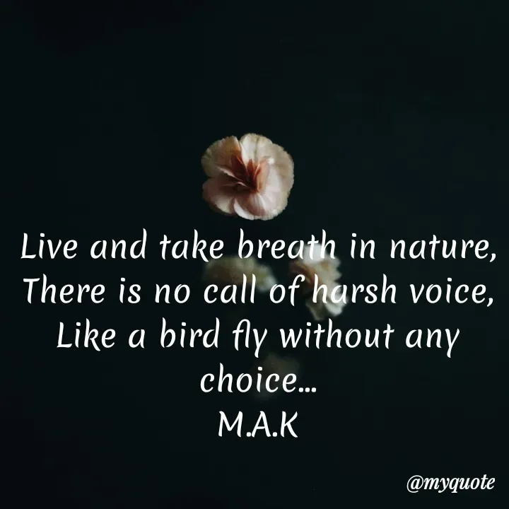 Quote by MAHFUJA AKTER M.A.K - Live and take breath in nature,
There is no call of harsh voice,
Like a bird fly without any choice...
M.A.K - Made using Quotes Creator App, Post Maker App