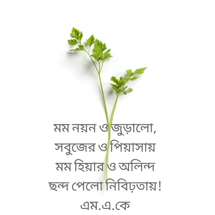 Quote by MAHFUJA AKTER M.A.K - মম নয়ন ও জুড়ালো,
সবুজের ও পিয়াসায়
মম হিয়ার ও অলিন্দ
ছন্দ পেলো নিবিঢ়তায়!
এম.এ.কে
 - Made using Quotes Creator App, Post Maker App