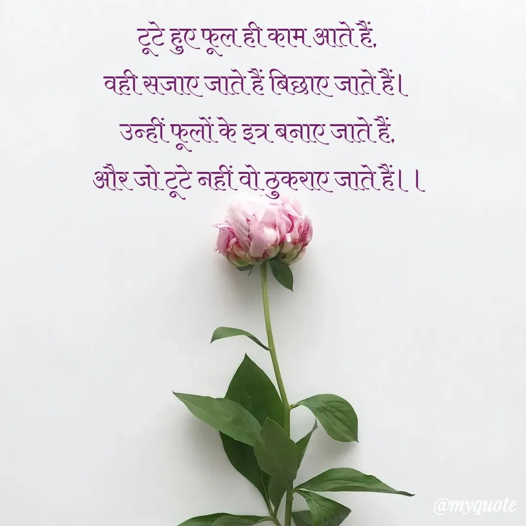 Quote by शुभम जैन सिद्ध - टूटे हुए फूल ही काम आते हैं, 
वही सजाए जाते हैं बिछाए जाते हैं। 
उन्हीं फूलों के इत्र बनाए जाते हैं, 
और जो टूटे नहीं वो ठुकराए जाते हैं।। - Made using Quotes Creator App, Post Maker App