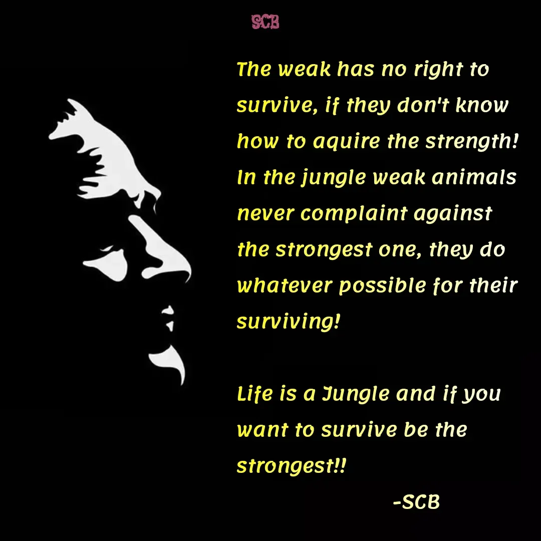 Quote by Sujit - The weak has no right to survive, if they don't know how to aquire the strength! In the jungle weak animals never complaint against the strongest one, they do whatever possible for their surviving!

Life is a Jungle and if you want to survive be the strongest!!
                          -SCB  - Made using Quotes Creator App, Post Maker App