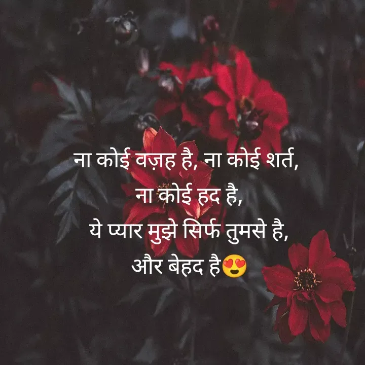 Quote by शताक्षी राजपूत ✍🏻✍🏻 - ना कोई वज़ह है, ना कोई शर्त, 
ना कोई हद है,
 ये प्यार मुझे सिर्फ तुमसे है, 
और बेहद है😍 - Made using Quotes Creator App, Post Maker App