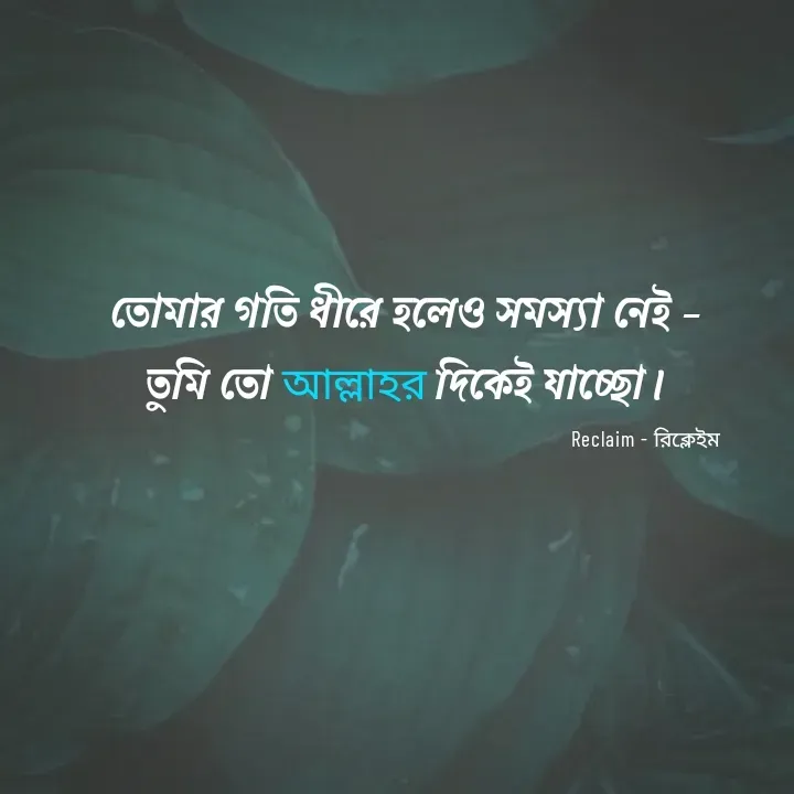 Quote by Reclaim - রিক্লেইম -  - Made using Quotes Creator App, Post Maker App