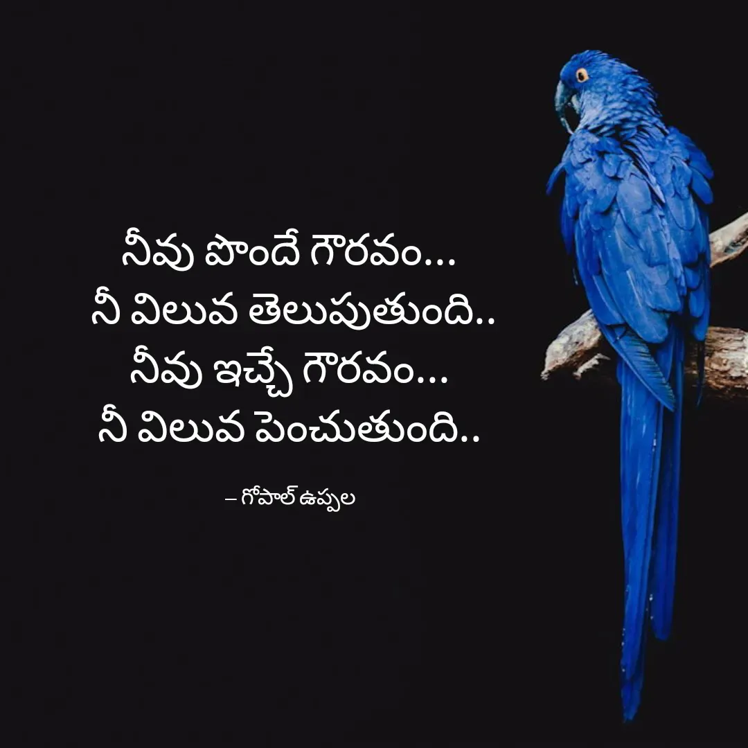 Quote by Gopal Uppala - నీవు పొందే గౌరవం...
 నీ విలువ తెలుపుతుంది..
నీవు ఇచ్చే గౌరవం...
నీ విలువ పెంచుతుంది..

-- గోపాల్ ఉప్పల - Made using Quotes Creator App, Post Maker App