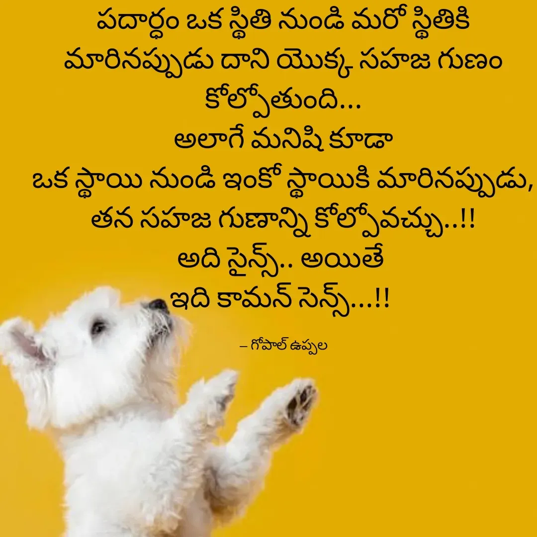 Quote by Gopal Uppala - పదార్ధం ఒక స్థితి నుండి మరో స్థితికి మారినప్పుడు దాని యొక్క సహజ గుణం కోల్పోతుంది...
అలాగే మనిషి కూడా
ఒక స్థాయి నుండి ఇంకో స్థాయికి మారినప్పుడు,
తన సహజ గుణాన్ని కోల్పోవచ్చు..!!
అది సైన్స్.. అయితే 
ఇది కామన్ సెన్స్...!! 

-- గోపాల్ ఉప్పల - Made using Quotes Creator App, Post Maker App
