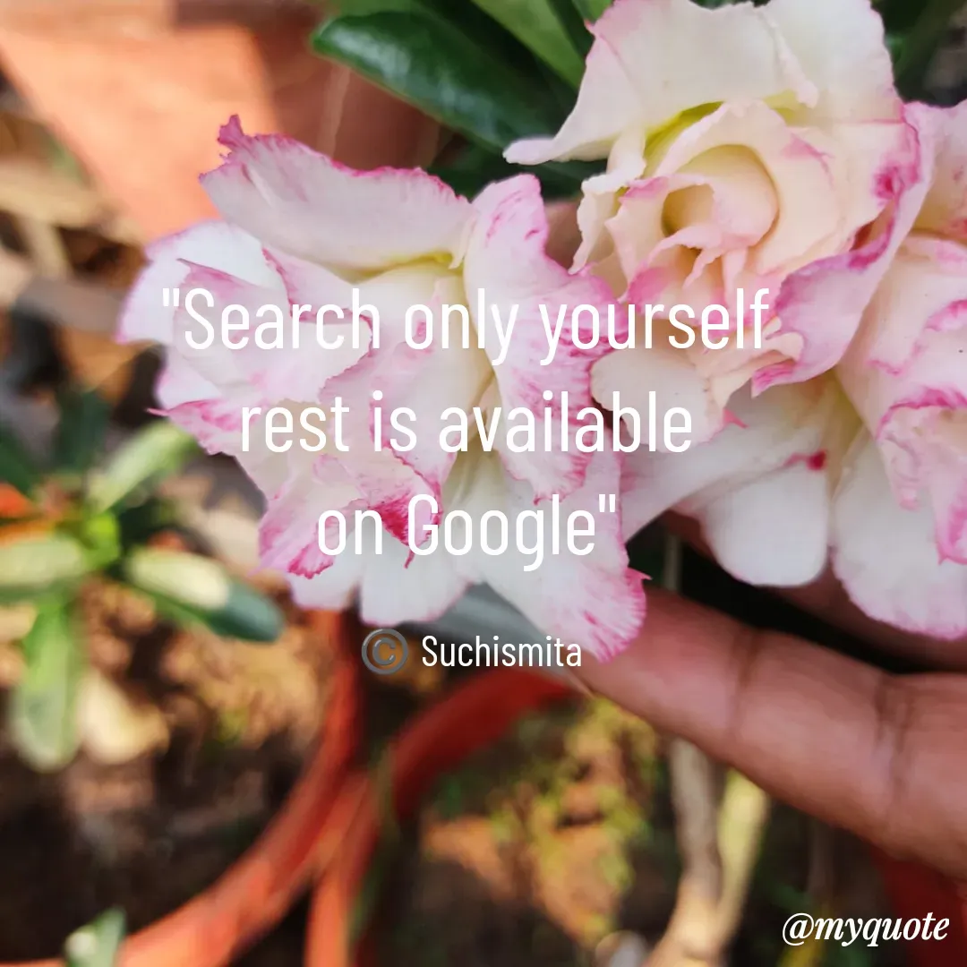 Quote by Suchismita - "Search only yourself 
rest is available 
on Google" 

©️ Suchismita  - Made using Quotes Creator App, Post Maker App