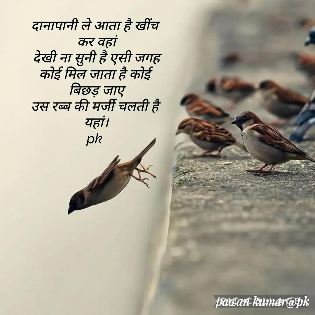 Quote by Pawan Kumar - Double tap to change text. - Made using Quotes Creator App, Post Maker App