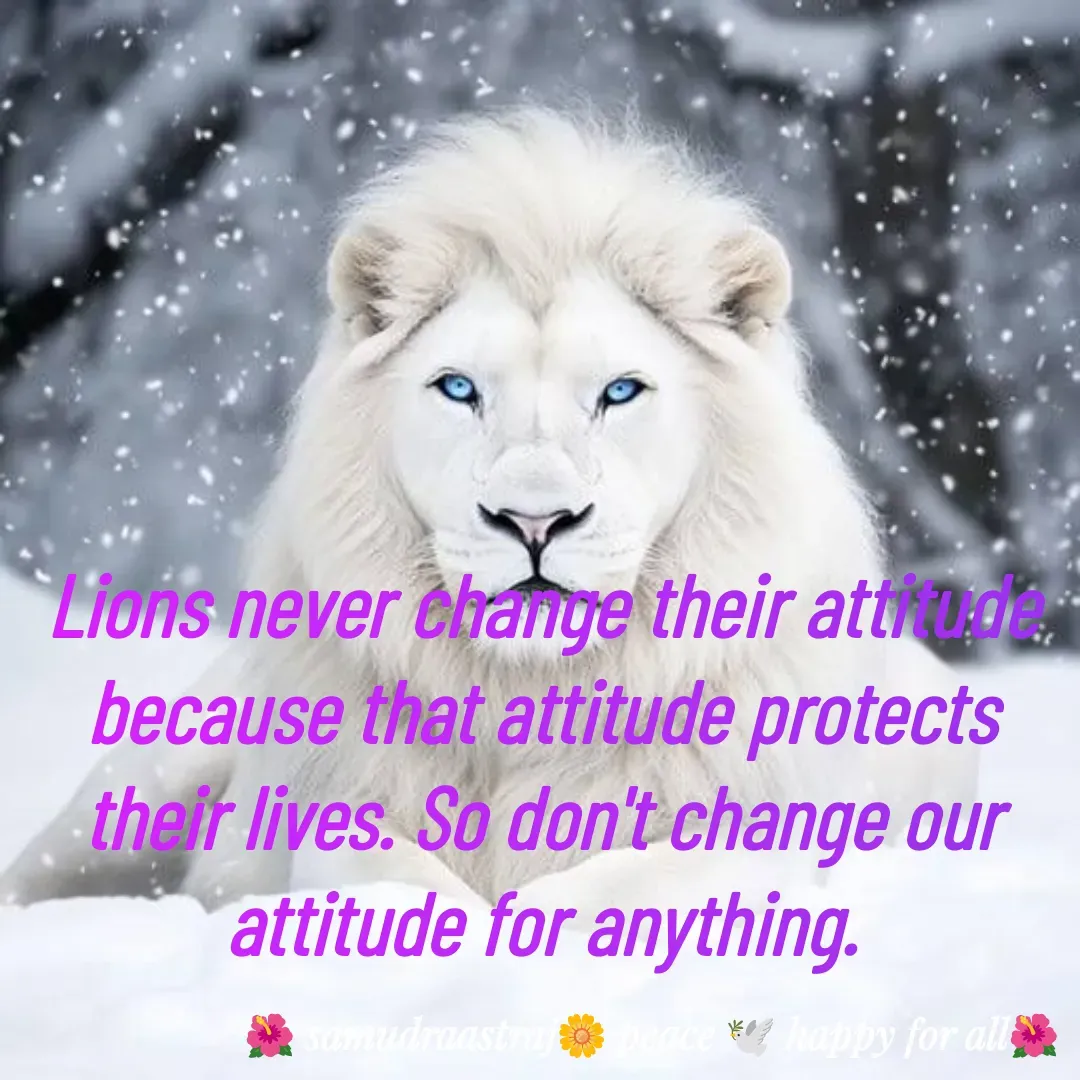 Quote by SAMUDRAASTRARAJINDAZTASXAEL - Lions never change their attitude because that attitude protects their lives. So don't change our attitude for anything.



 - Made using Quotes Creator App, Post Maker App