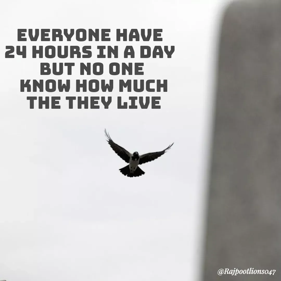 Quote by TALHA ASHFAQ - EVERYONE HAVE 
24 HOURS IN A DAY 
BUT NO ONE
 KNOW HOW MUCH
 THE THEY LIVE - Made using Quotes Creator App, Post Maker App