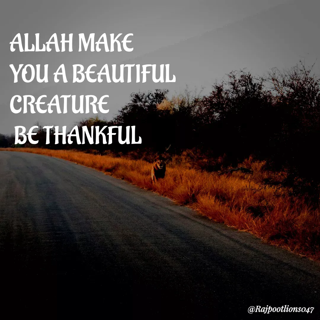 Quote by TALHA ASHFAQ - ALLAH MAKE 
YOU A BEAUTIFUL 
CREATURE
 BE THANKFUL  - Made using Quotes Creator App, Post Maker App