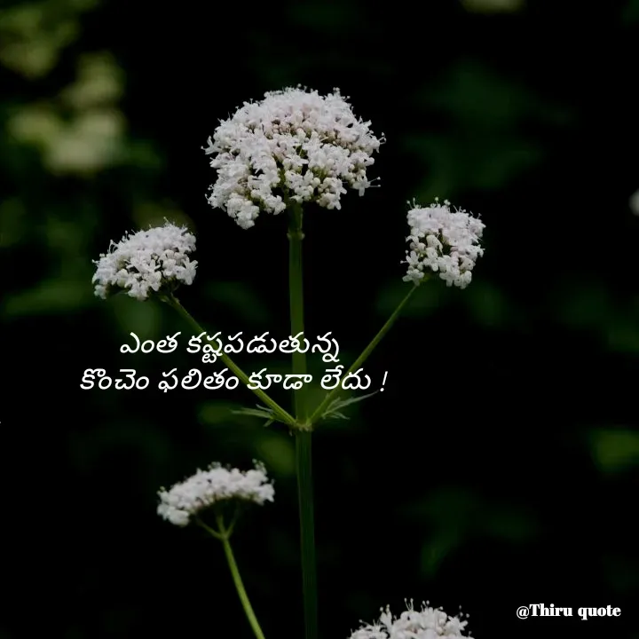 Quote by kurapati Thirumalesh -  - Made using Quotes Creator App, Post Maker App