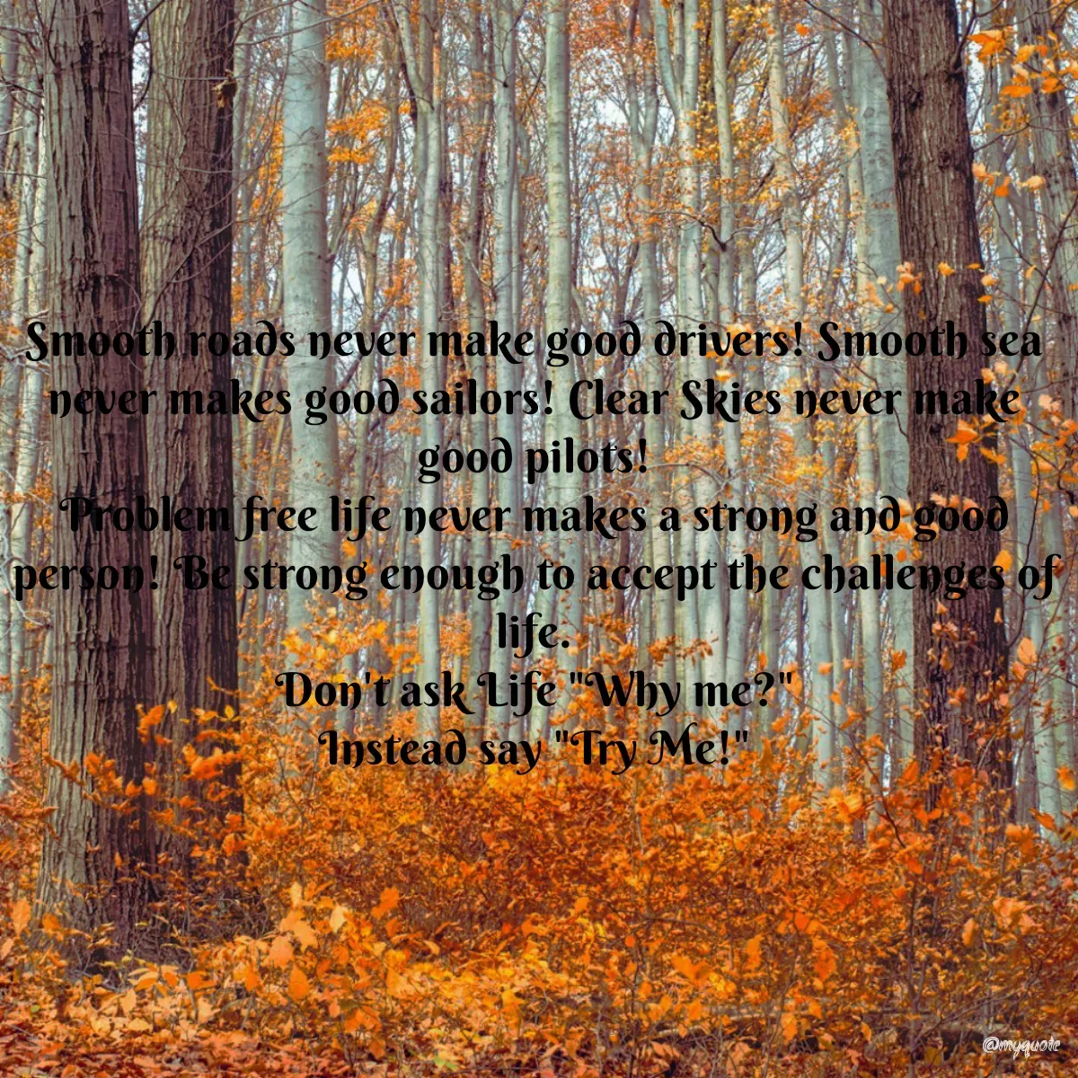 Quote by Surekha Waghmare - Smooth roads never make good drivers! Smooth sea never makes good sailors! Clear Skies never make good pilots!
Problem free life never makes a strong and good person! Be strong enough to accept the challenges of life.
Don't ask Life "Why me?"
Instead say "Try Me!" - Made using Quotes Creator App, Post Maker App