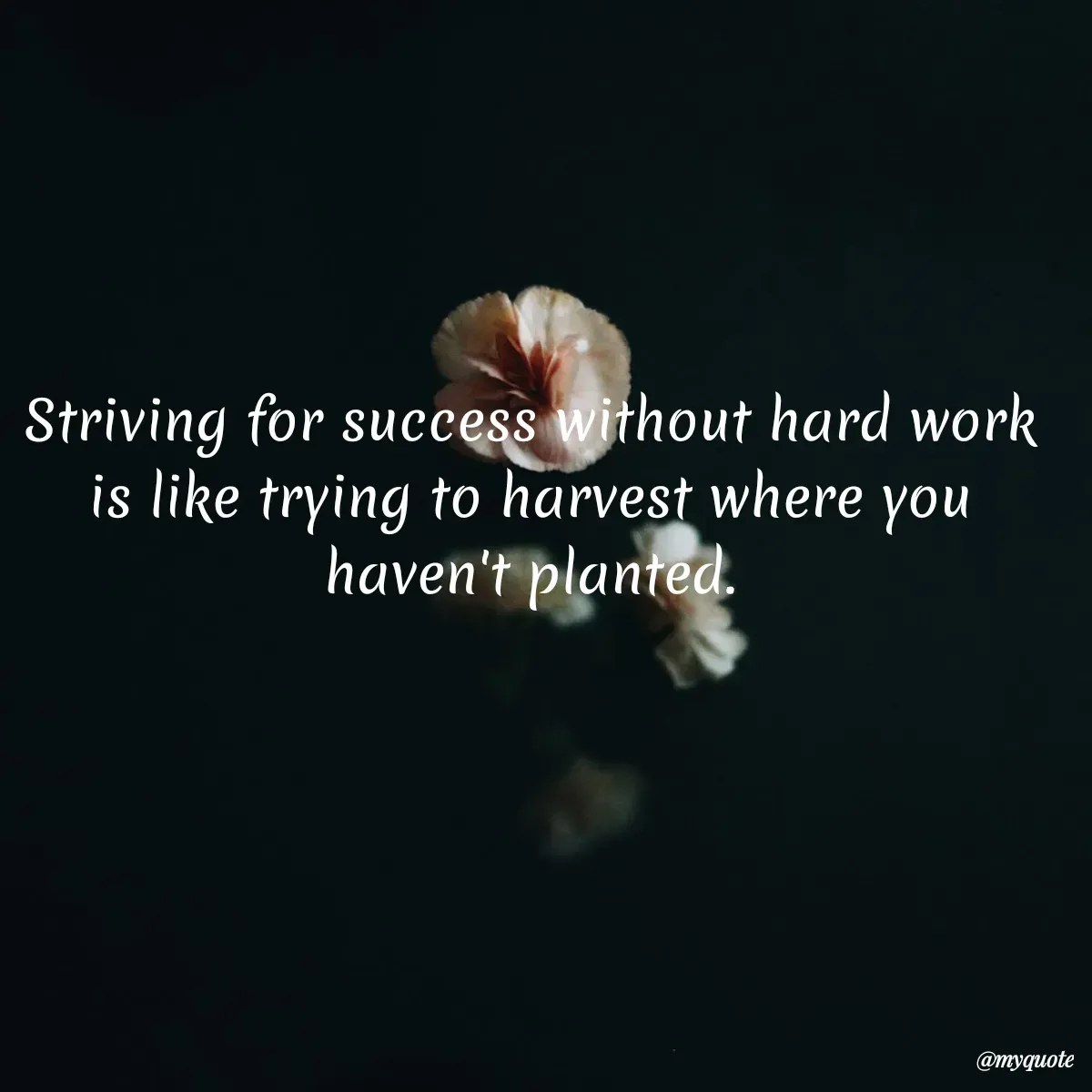 Quote by mrs beautiful girl 😍😍😘 - Striving for success without hard work is like trying to harvest where you haven't planted. - Made using Quotes Creator App, Post Maker App