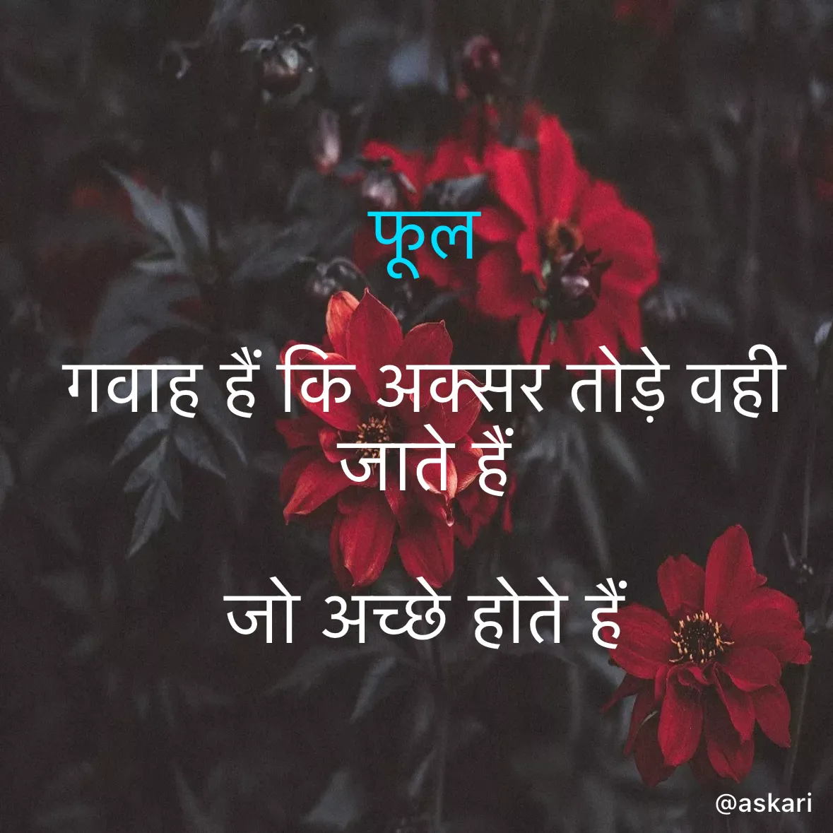 Quote by Naiyer Askari - फूल  
 
गवाह हैं कि अक्सर तोड़े वही जाते हैं  
 
जो अच्छे होते हैं  - Made using Quotes Creator App, Post Maker App