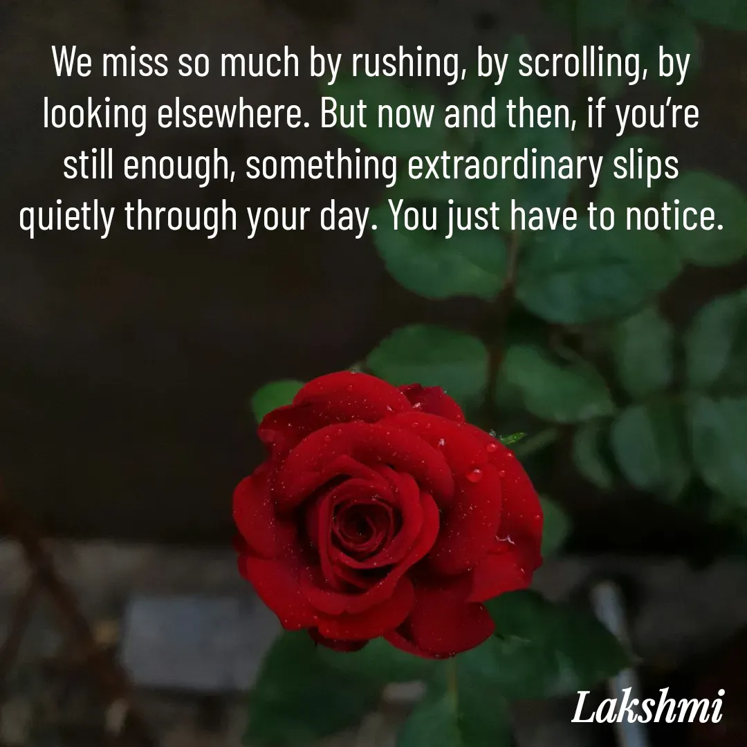 Quote by Singer Lakshmi -  - Made using Quotes Creator App, Post Maker App