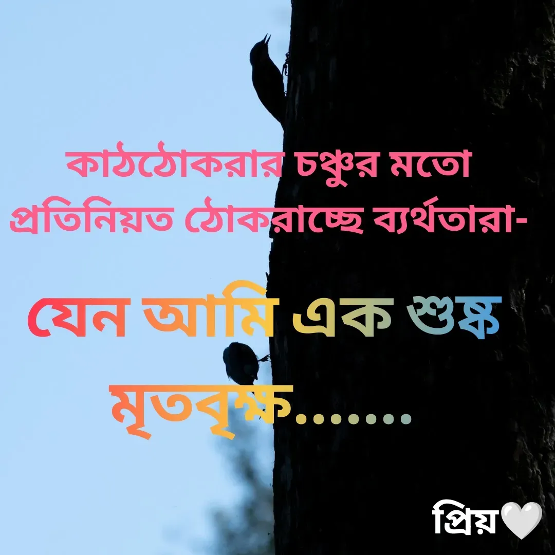 Quote by Partho Modak - কাঠঠোকরার চঞ্চুর মতো প্রতিনিয়ত ঠোকরাচ্ছে ব্যর্থতারা-যেন আমি এক শুষ্ক মৃতবৃক্ষ....... - Made using Quotes Creator App, Post Maker App