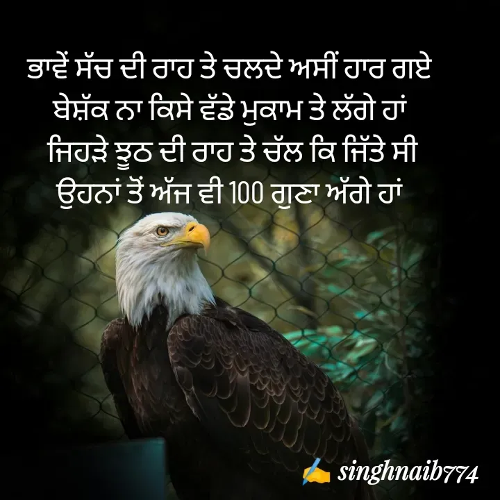 Quote by Naib Singh - ਭਾਵੇਂ ਸੱਚ ਦੀ ਰਾਹ ਤੇ ਚਲਦੇ ਅਸੀਂ ਹਾਰ ਗਏ
 ਬੇਸ਼ੱਕ ਨਾ ਕਿਸੇ ਵੱਡੇ ਮੁਕਾਮ ਤੇ ਲੱਗੇ ਹਾਂ 
 ਜਿਹੜੇ ਝੂਠ ਦੀ ਰਾਹ ਤੇ ਚੱਲ ਕਿ ਜਿੱਤੇ ਸੀ
 ਉਹਨਾਂ ਤੋਂ ਅੱਜ ਵੀ 100 ਗੁਣਾ ਅੱਗੇ ਹਾਂ 
 - Made using Quotes Creator App, Post Maker App