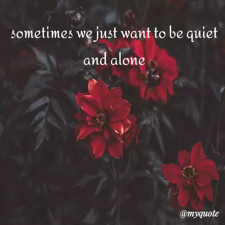 Quote by Shraddha Tiwari - sometimes we just want to be quiet and alone - Made using Quotes Creator App, Post Maker App