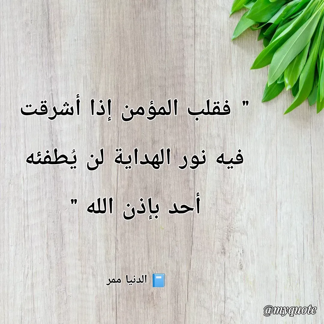 Quote by عبد المهيمن -  - Made using Quotes Creator App, Post Maker App