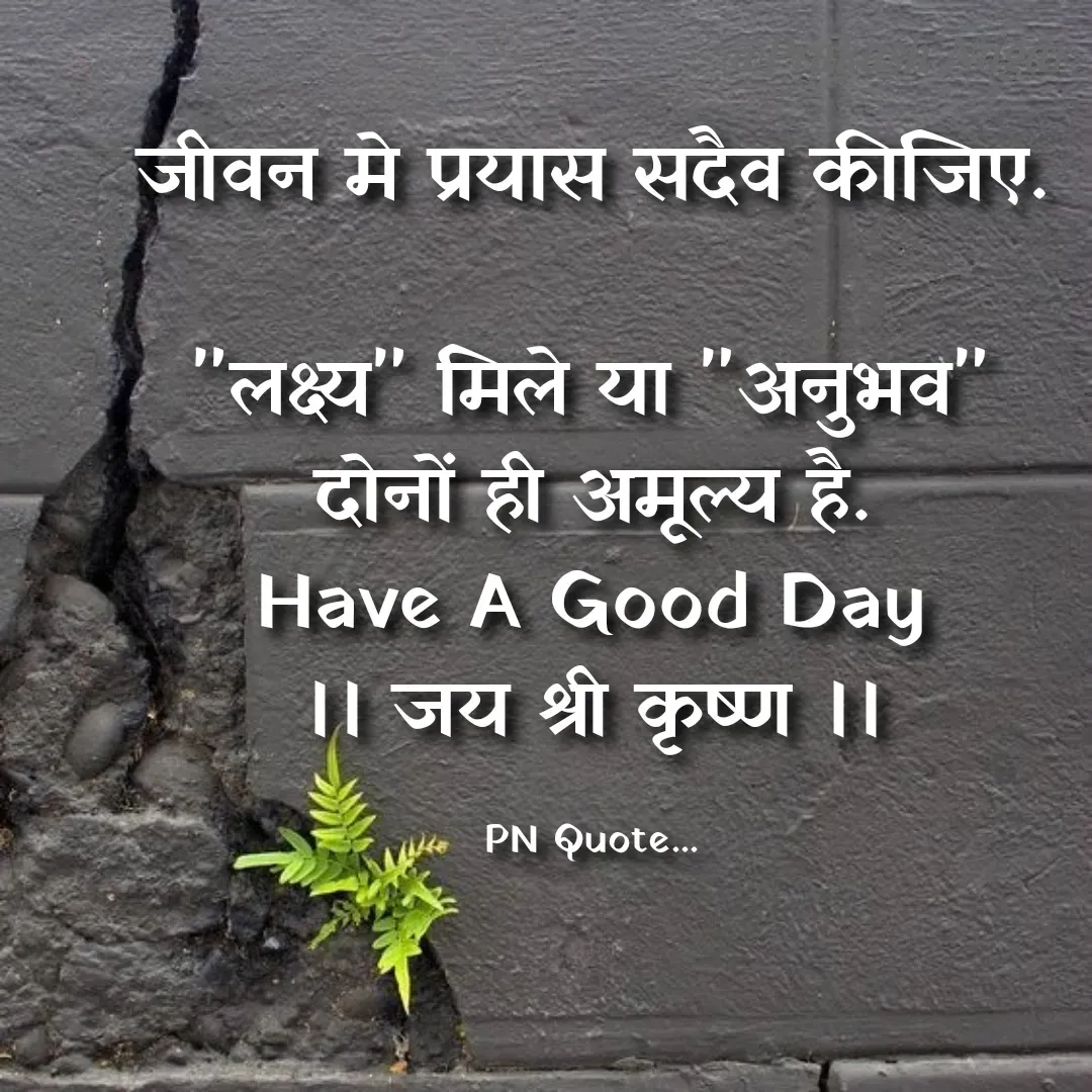 Quote by Positives<>Negatives - जीवन मे प्रयास सदैव कीजिए.

"लक्ष्य" मिले या "अनुभव"
दोनों ही अमूल्य है.
Have A Good Day
।। जय श्री कृष्ण ।।

PN Quote... - Made using Quotes Creator App, Post Maker App