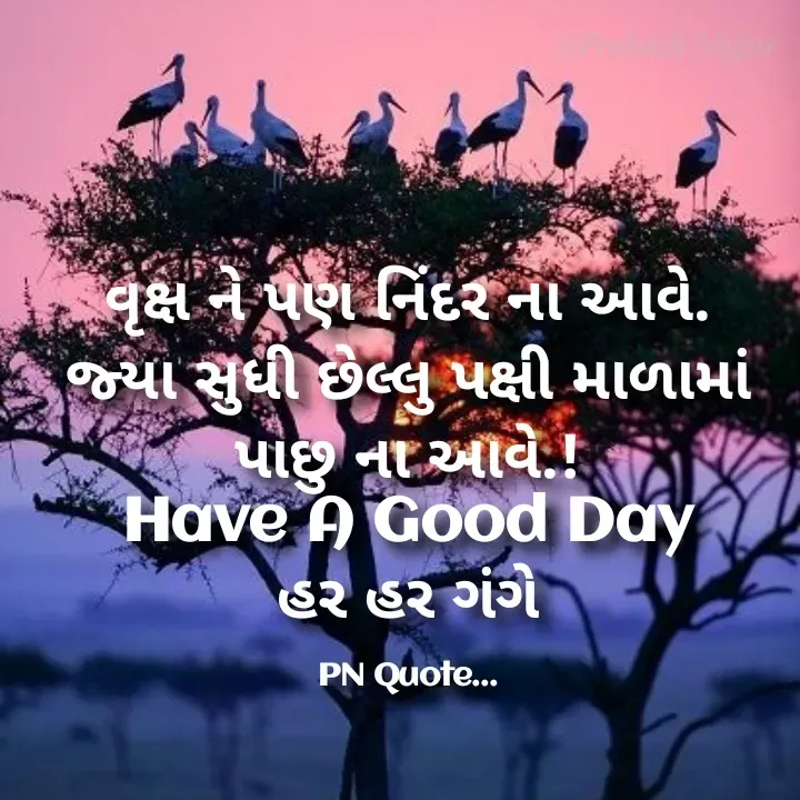 Quote by Positives<>Negatives -  - Made using Quotes Creator App, Post Maker App