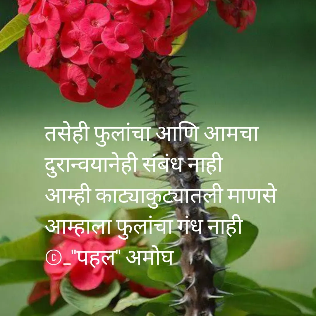 Quote by Amogh Apte -  - Made using Quotes Creator App, Post Maker App