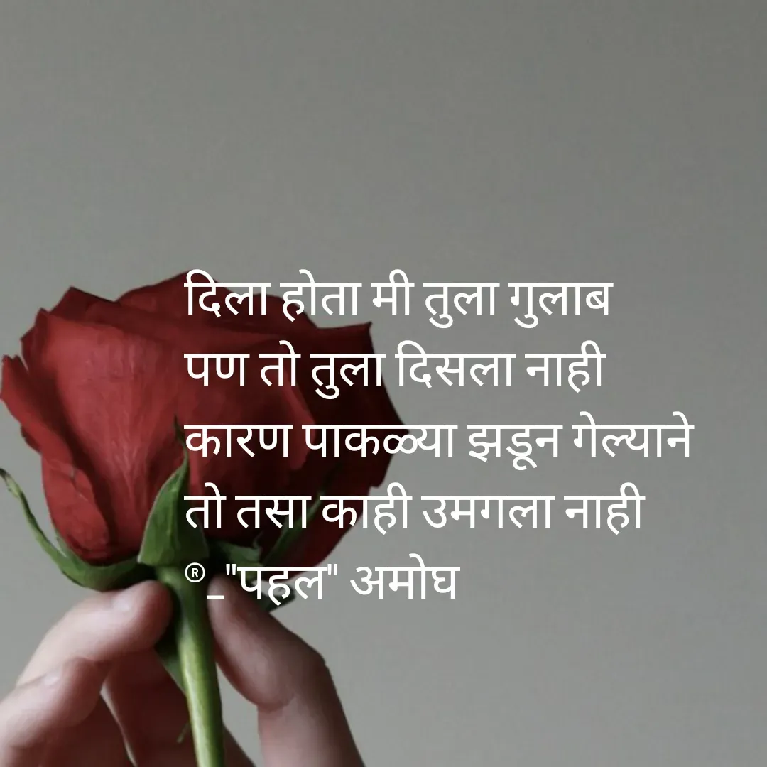 Quote by Amogh Apte - दिला होता मी तुला गुलाब 
पण तो तुला दिसला नाही 
कारण पाकळ्या झडून गेल्याने 
तो तसा काही उमगला नाही 
®_"पहल" अमोघ   - Made using Quotes Creator App, Post Maker App