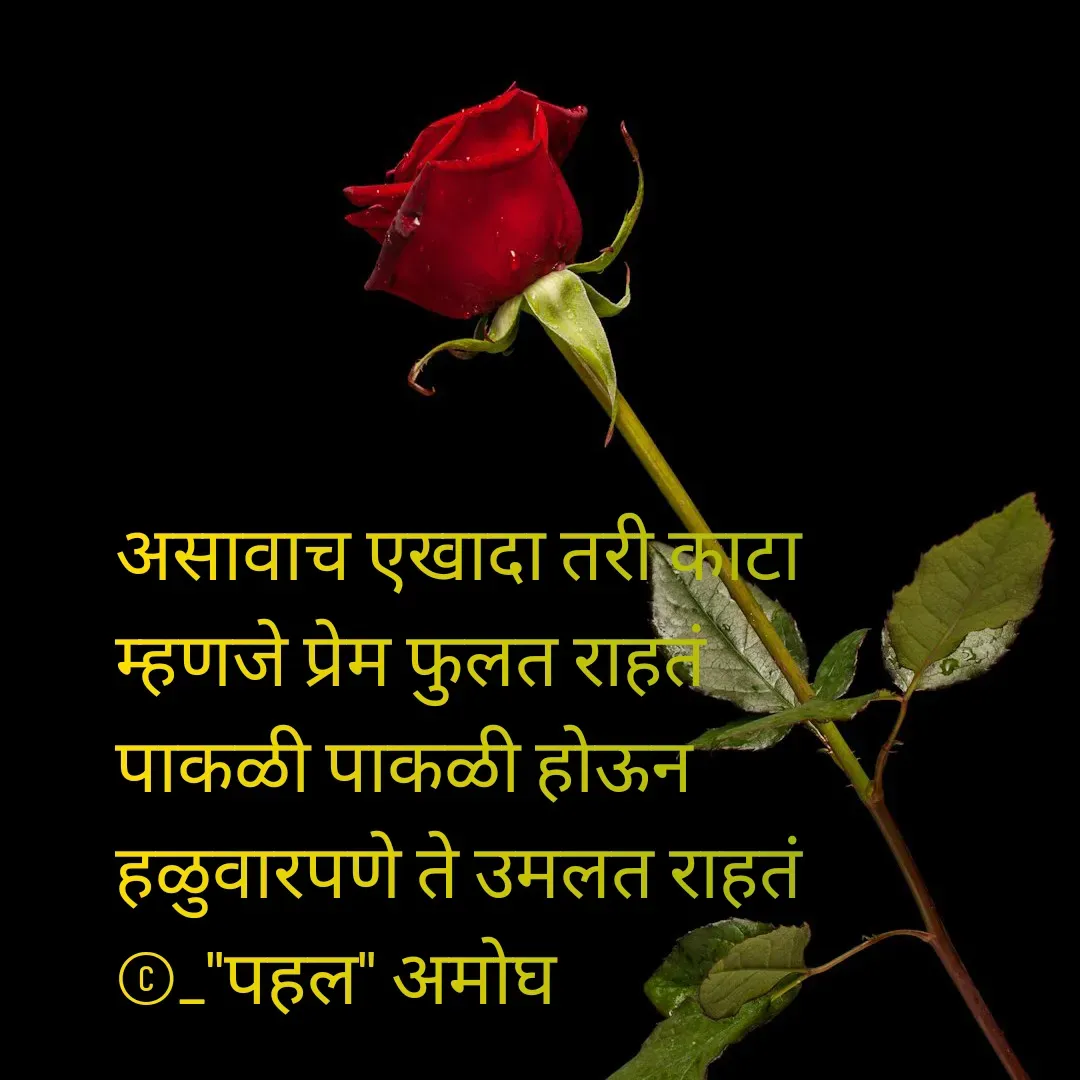 Quote by Amogh Apte - असावाच एखादा तरी काटा 
म्हणजे प्रेम फुलत राहतं 
पाकळी पाकळी होऊन 
हळुवारपणे ते उमलत राहतं 
©_"पहल" अमोघ  - Made using Quotes Creator App, Post Maker App
