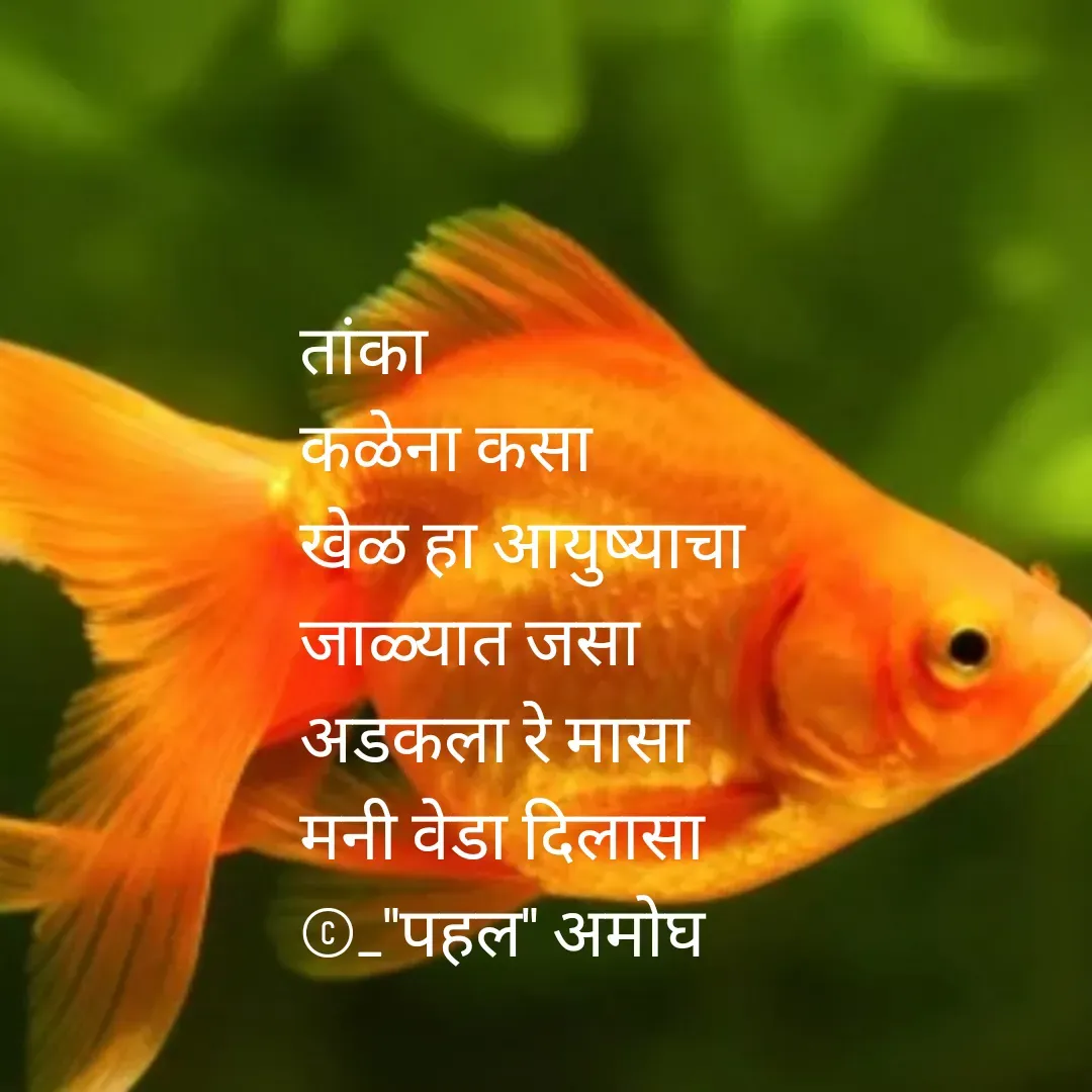 Quote by Amogh Apte -  - Made using Quotes Creator App, Post Maker App