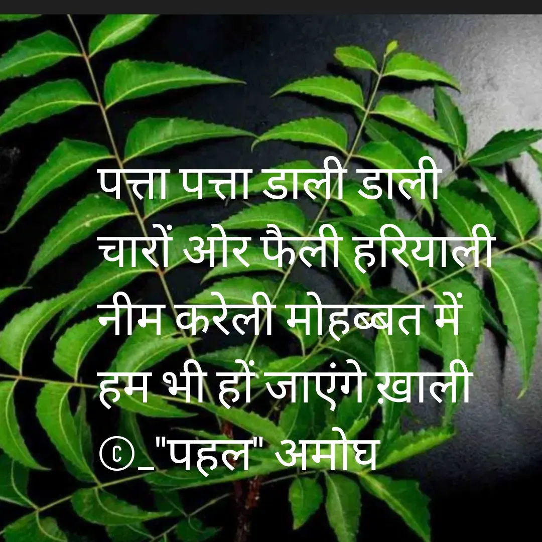 Quote by Amogh Apte - पत्ता पत्ता डाली डाली 
चारों ओर फैली हरियाली 
नीम करेली मोहब्बत में 
हम भी हों जाएंगे ख़ाली 
©_"पहल" अमोघ  - Made using Quotes Creator App, Post Maker App