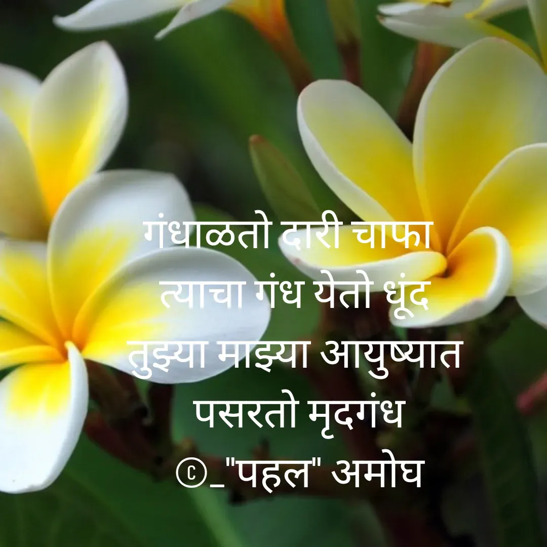 Quote by Amogh Apte - गंधाळतो दारी चाफा  
त्याचा गंध येतो धूंद 
तुझ्या माझ्या आयुष्यात 
पसरतो मृदगंध
©_"पहल" अमोघ

 - Made using Quotes Creator App, Post Maker App