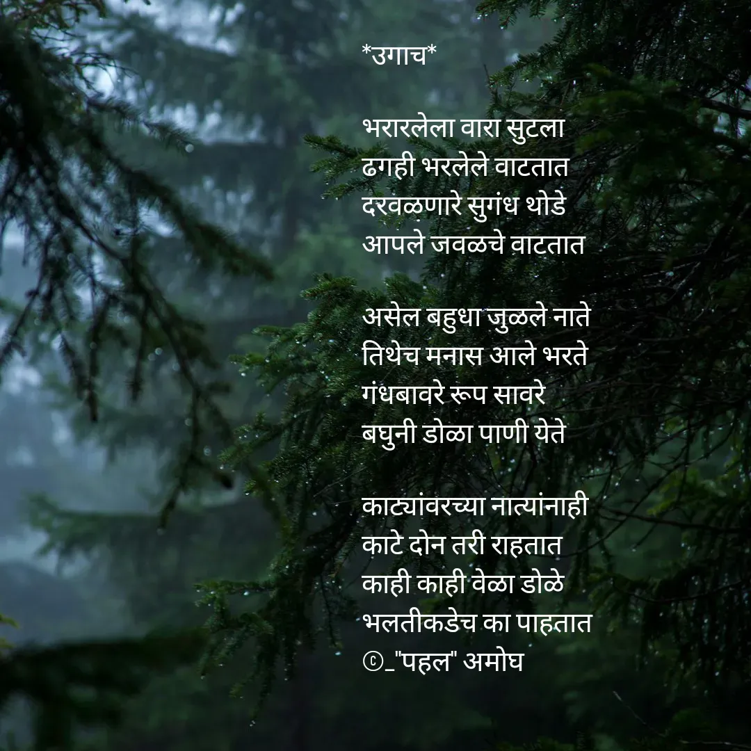 Quote by Amogh Apte - *उगाच*

भरारलेला वारा सुटला 
ढगही भरलेले वाटतात 
दरवळणारे सुगंध थोडे
आपले जवळचे वाटतात 

असेल बहुधा जुळले नाते 
तिथेच मनास आले भरते
गंधबावरे रूप सावरे
बघुनी डोळा पाणी येते 

काट्यांवरच्या नात्यांनाही 
काटे दोन तरी राहतात
काही काही वेळा डोळे 
भलतीकडेच का पाहतात   
©_"पहल" अमोघ  - Made using Quotes Creator App, Post Maker App