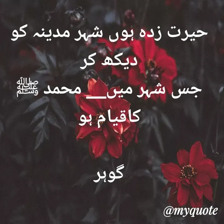 Quote by Altaf Gohar -  - Made using Quotes Creator App, Post Maker App