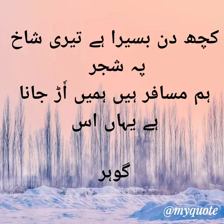 Quote by Altaf Gohar - کچھ دن بسیرا ہے تیری شاخ پہ شجر 
ہم مسافر ہیں ہمیں اٗڑ جانا ہے یہاں اس

گوہر - Made using Quotes Creator App, Post Maker App