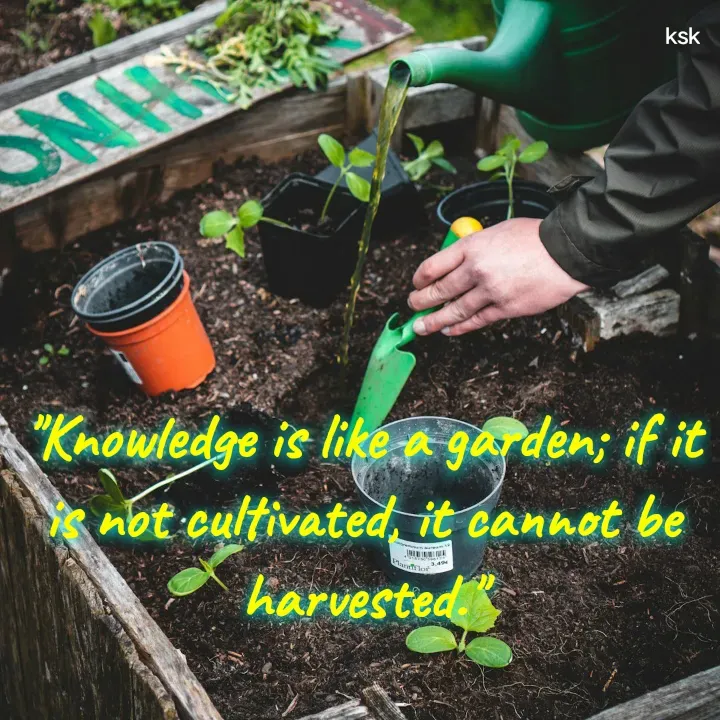 Quote by K.S.K - "Knowledge is like a garden; if it is not cultivated, it cannot be harvested." - Made using Quotes Creator App, Post Maker App
