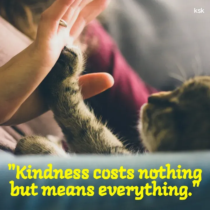 Quote by K.S.K - "Kindness costs nothing but means everything." - Made using Quotes Creator App, Post Maker App