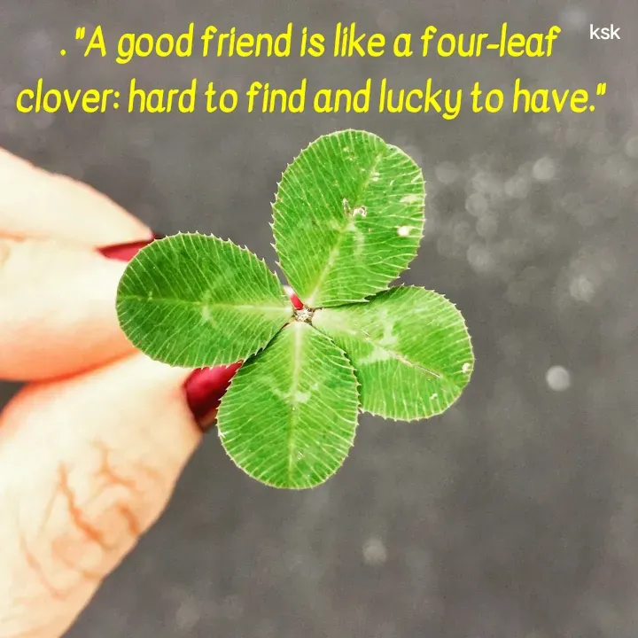 Quote by K.S.K - . "A good friend is like a four-leaf clover: hard to find and lucky to have." - Made using Quotes Creator App, Post Maker App