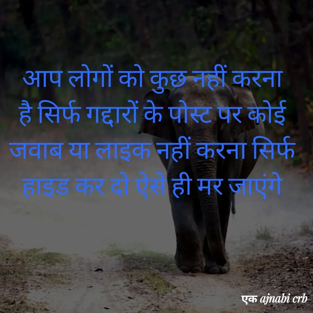 Quote by Chittaranjan - आप लोगों को कुछ नहीं करना है सिर्फ गद्दारों के पोस्ट पर कोई जवाब या लाइक नहीं करना सिर्फ हाइड कर दो ऐसे ही मर जाएंगे - Made using Quotes Creator App, Post Maker App