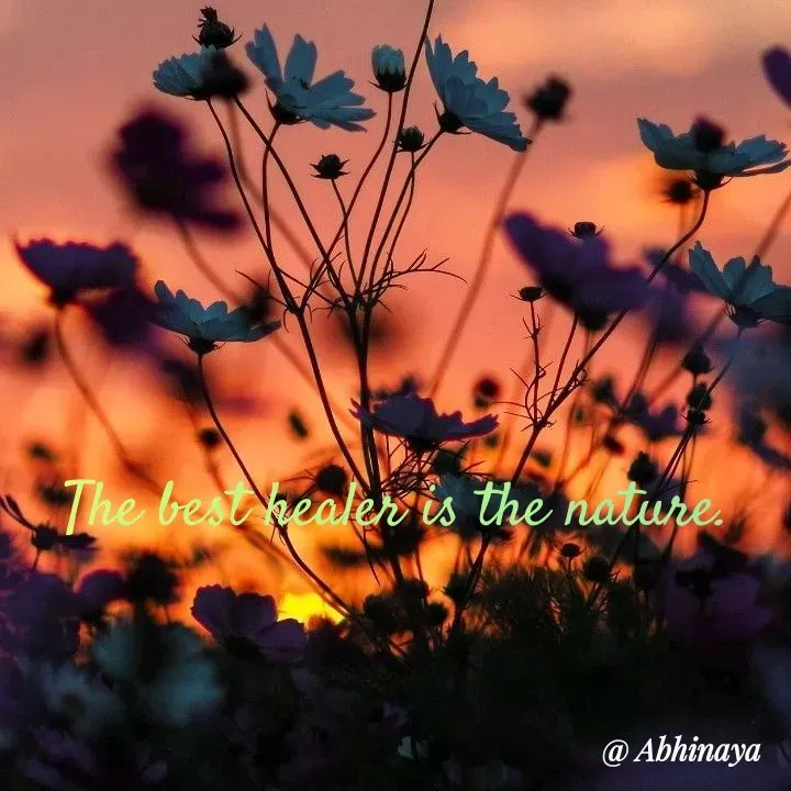 Quote by Life values _ experience 💯 -  - Made using Quotes Creator App, Post Maker App