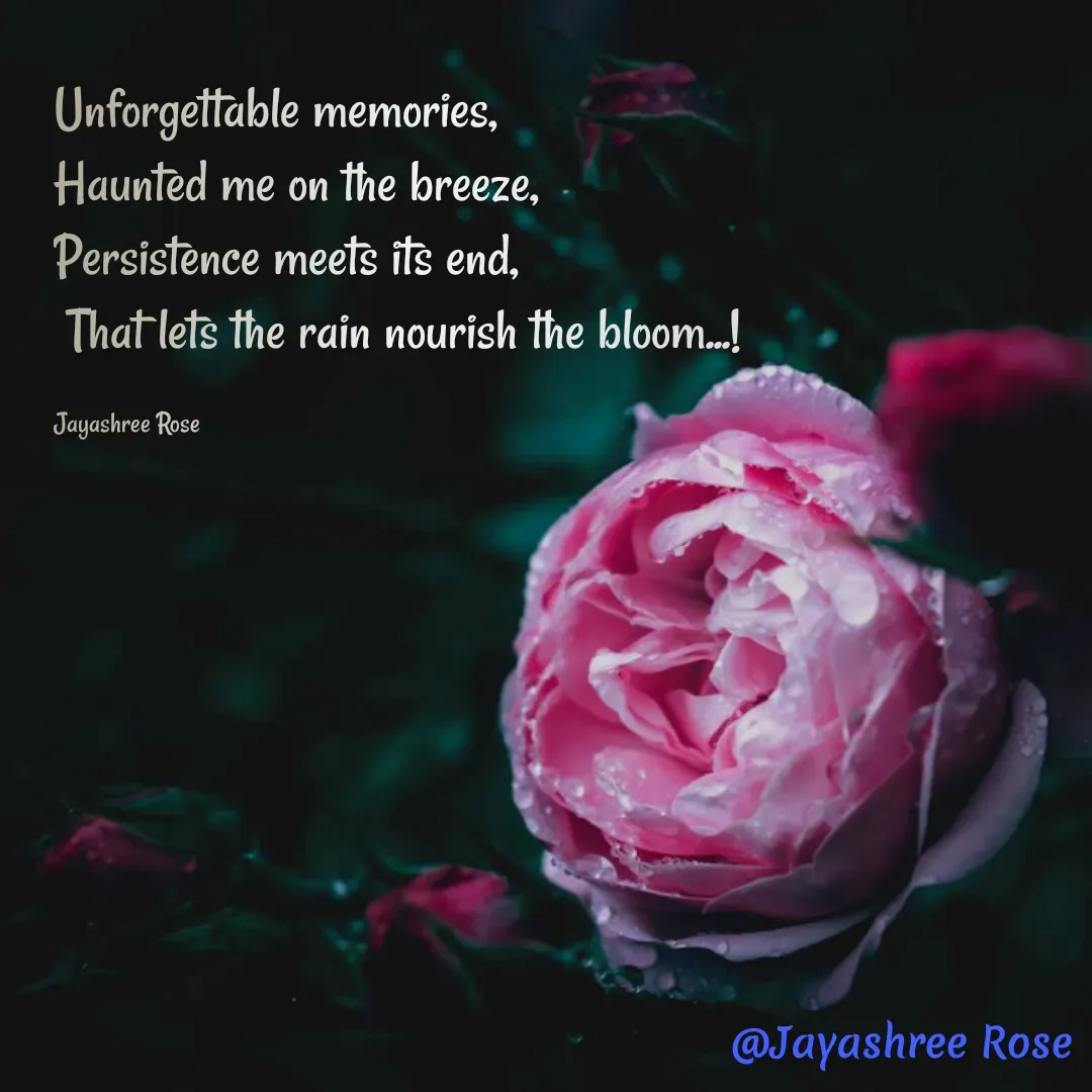 Quote by Jayashree Rose - Unforgettable memories, 
Haunted me on the breeze, 
Persistence meets its end,
 That lets the rain nourish the bloom...!

Jayashree Rose  - Made using Quotes Creator App, Post Maker App