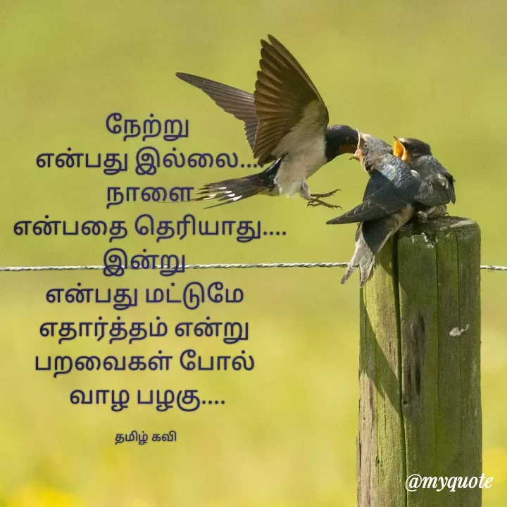 Quote by Abirami Saro -  - Made using Quotes Creator App, Post Maker App