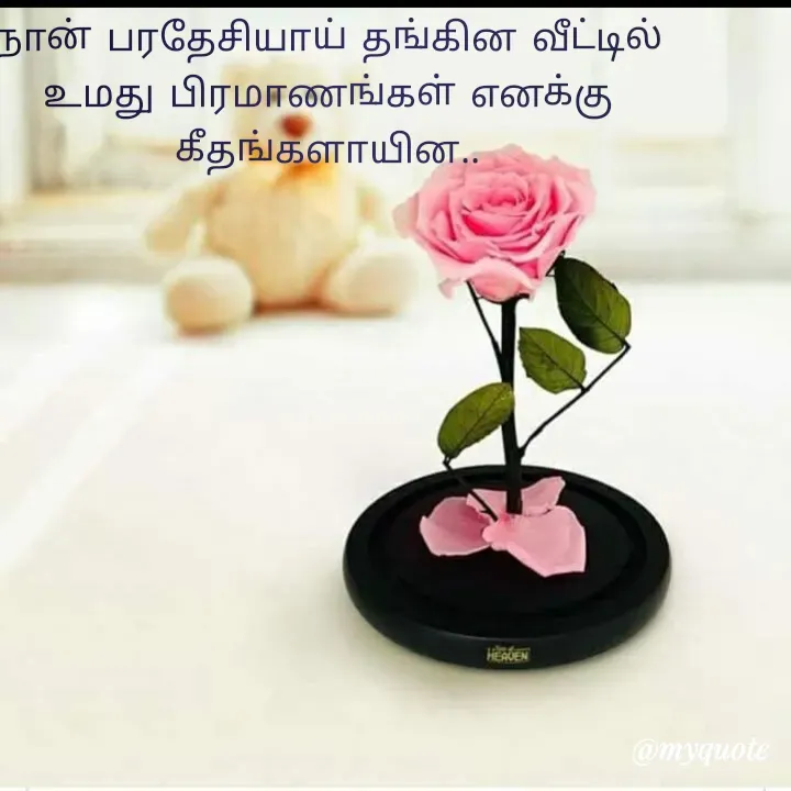 Quote by Susi Singh -  - Made using Quotes Creator App, Post Maker App