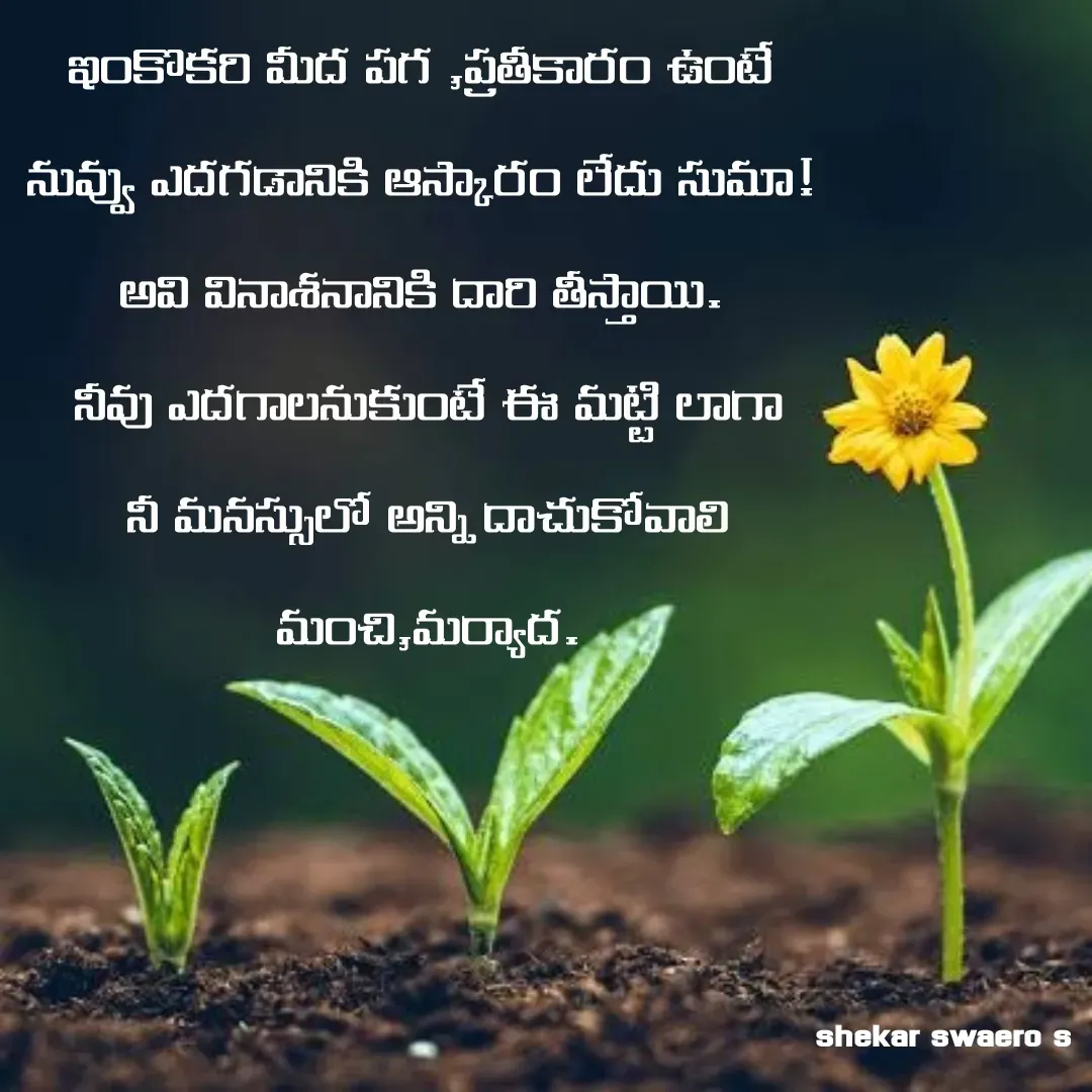 Quote by sherolla shekar - ఇంకొకరి మీద పగ ,ప్రతీకారం ఉంటే 
నువ్వు ఎదగడానికి ఆస్కారం లేదు సుమా! 
అవి వినాశనానికి దారి తీస్తాయి. 
నీవు ఎదగాలనుకుంటే ఈ మట్టి లాగా
నీ మనస్సులో అన్ని దాచుకోవాలి మంచి,మర్యాద.
 - Made using Quotes Creator App, Post Maker App